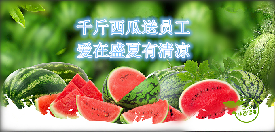 通達(dá)軟件公司： 千斤西瓜送員工，愛(ài)在盛夏有清涼